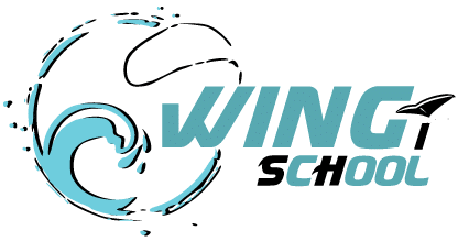 Официальный логотип Wingischool